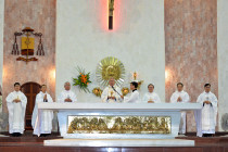 Gx. Chánh Tòa: Thánh lễ tạ ơn kỷ niệm ngày Đức Cha Emmanuel chấp chính Giáo phận Bà Rịa