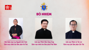 Bổ nhiệm Giám mục chính tòa các giáo phận Hà Tĩnh và Phát Diệm, Giám mục phó giáo phận Cần Thơ