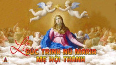29.05.2023 – Thứ Hai Tuần VIII Thường Niên: Lễ Đức Trinh Nữ Maria, Mẹ Hội Thánh