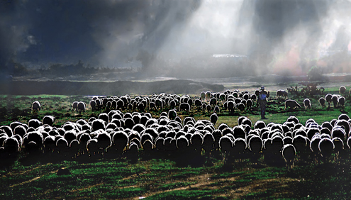 Thuyên chuyển Linh mục và những bổ nhiệm mới