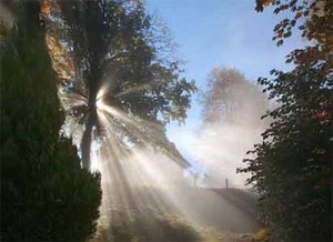 ANH EM LÀ MUỐI CHO ĐỜI ... - Chú giải của Fiches Dominicales