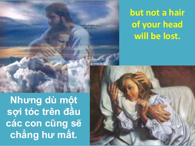 THỨ TƯ TUẦN 34 THƯỜNG NIÊN Lc 21, 12 - 19.