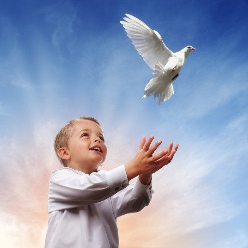 Knowing the holy spirit image 1