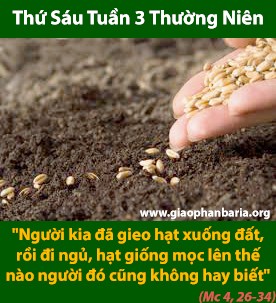 Thứ Sáu Tuần 3 Thường Niên - Mc 4, 26-34