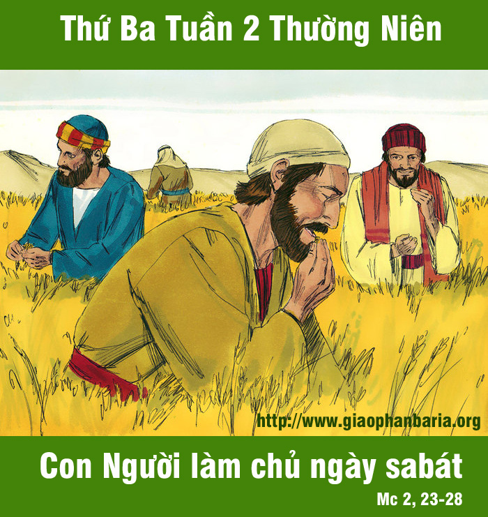 Thứ Ba Tuần 2 Thường Niên – Mc 2, 23-28
