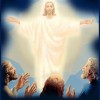 Transfiguration8