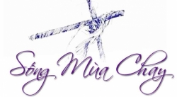 SỐNG TINH THẦN MÙA CHAY - Lm Anrê Đỗ xuân Quế OP.