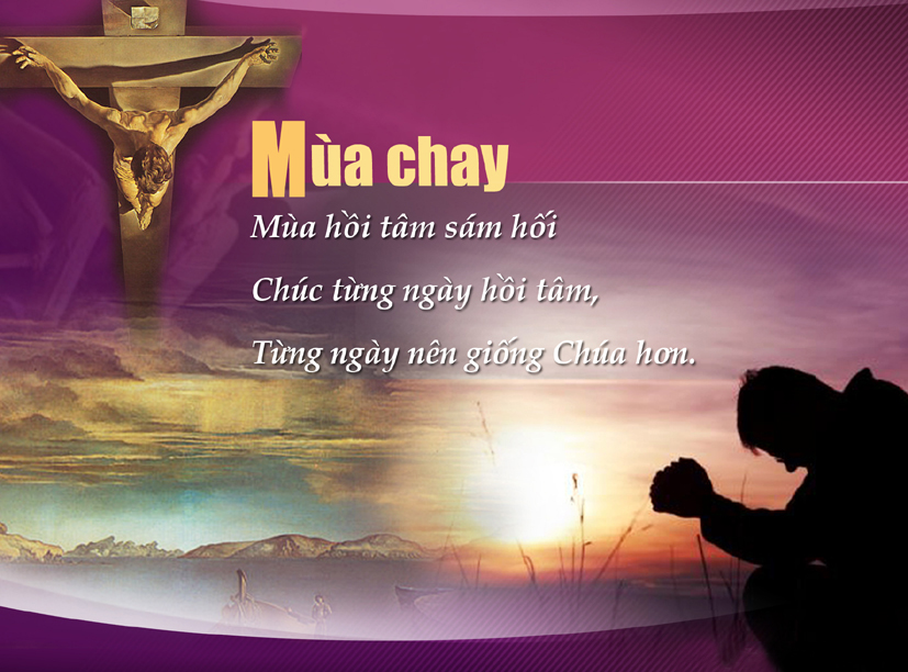 2015-03-04-tinh-tam-mua-chay