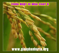 MỘT TÌNH YÊU KHÔNG THỂ TIN ĐƯỢC - Chú giải của Lm. Vũ Phan Long