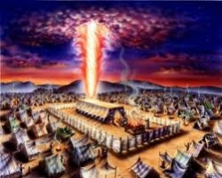 Tuần 72: Sách Huấn ca