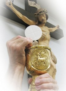 SẼ TRƯỜNG SINH NẾU ĂN BÁNH GIÊSU - Lm. Antôn Nguyễn Văn Độ