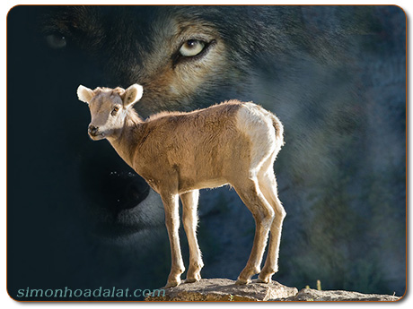 BẢN VĂN CÁC BÀI ĐỌC