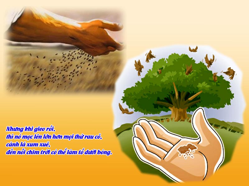 Thứ Hai Tuần 17 Thường niên - Mt 13, 31-35