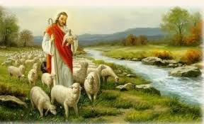 images (1)