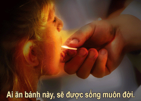 CHẦU THÁNH THỂ - Ngày 16.8.2015 - Chúa nhật XX Thường niên - Ga 6,51-58