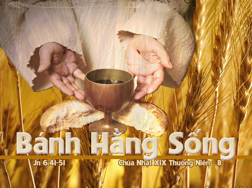 TÔI LÀ BÁNH BAN SỰ SỐNG - Lm FX Vũ Phan Long, ofm