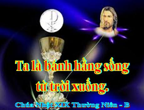 BẢN VĂN CÁC BÀI ĐỌC