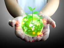 green-globe-hand-22355418
