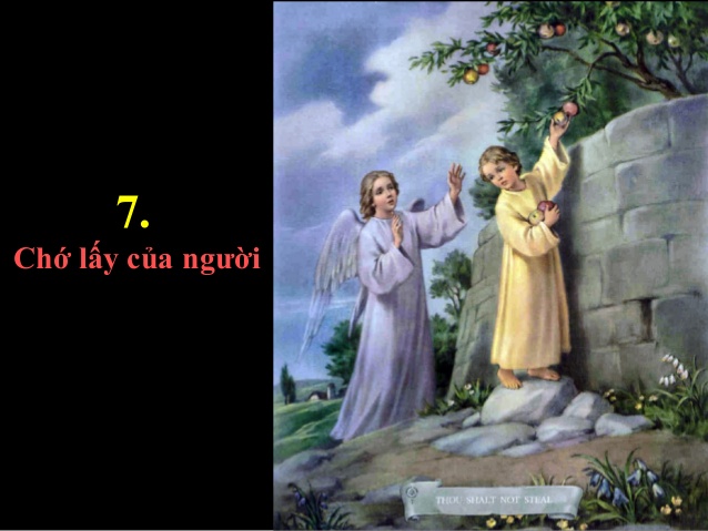 Tìm hiểu Sách Giáo lý Hội Thánh Công giáo – Phần III: Đời sống mới trong Đức Kitô - Bài 45. Điều răn thứ bảy