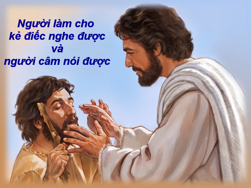 BẢN VĂN CÁC BÀI ĐỌC