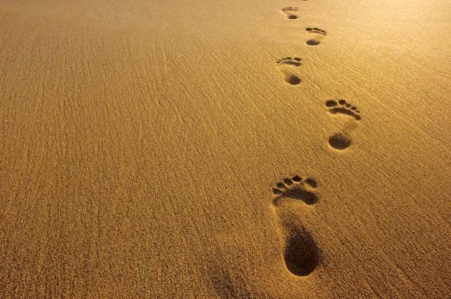 6355495324049144311455714676_footprints-in-sand
