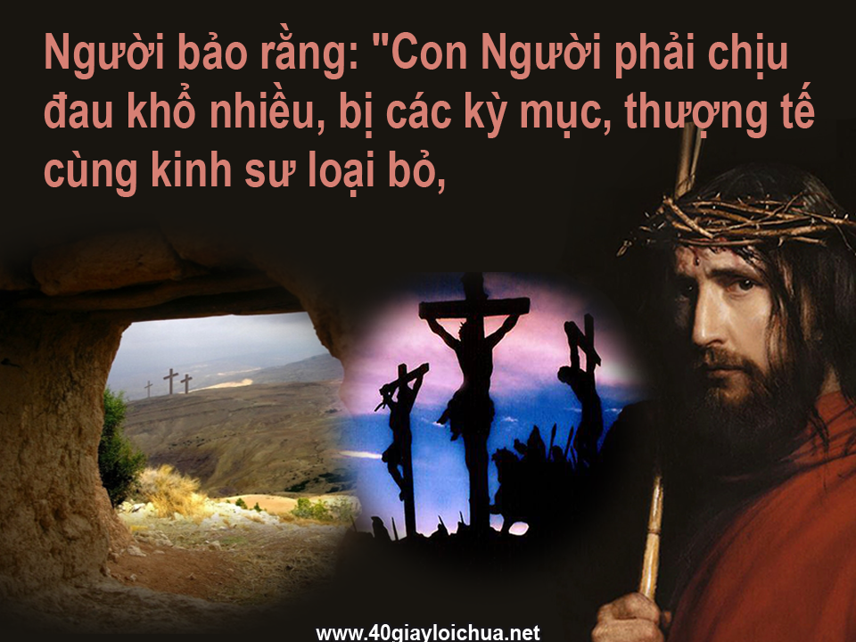 996717_182062375287638_1442440959_n