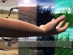 Tin mừng theo Thánh Matthêu (Chương 13-19)