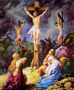 Học hỏi Thánh Kinh 100 tuần – Tuần 94