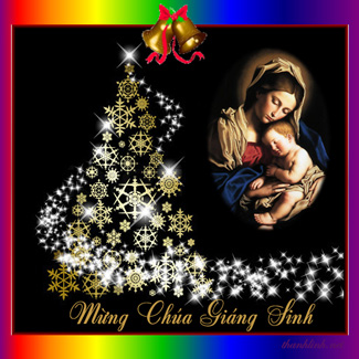 Uỷ ban Giáo dục Công giáo / HĐGMVN: Thư gửi các sinh viên, học sinh Công giáo dịp lễ Giáng sinh 2015