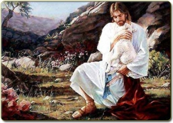 Suy niệm Năm Thánh Lòng Thương Xót – Bài 5: Đức Giê-su, vị Mục Tử Nhân Lành