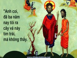 HÃY SINH HOA TRÁI - Lm Jos. Tạ Duy Tuyền