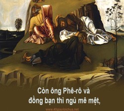 CHÚA BIẾN HÌNH, XIN CHO CON ĐƯỢC ƠN BIẾN ĐỔI  - Lm. Antôn Nguyễn Văn Độ