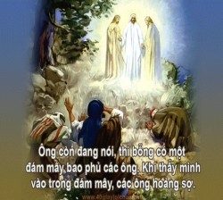 MAU BIẾN ĐỔI - Lm. Carôlô Hồ Bặc Xái