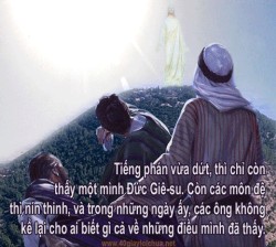 CHÚA BIẾN HÌNH - Logos năm C
