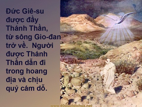 TUYÊN XƯNG ĐỨC TIN BẰNG HÀNH ĐỘNG - Chú giải của Fiches Dominicales