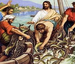 Huấn luyện chứng nhân