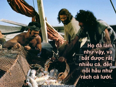 ƠN GỌI - Lm Inhaxiô Hồ Thông