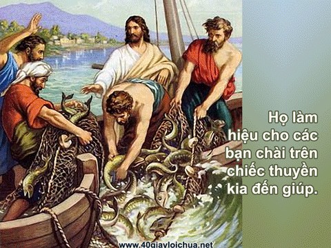 ĐÀO TẠO TÔNG ĐỒ - ĐTGM. Ngô Quang Kiệt