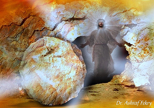 CNPS - ĐÓNG CỬA TỬ MỞ CỬA SINH - Lm. Giuse Ngô Ngọc Khanh OFM