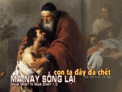BẢN VĂN CÁC BÀI ĐỌC