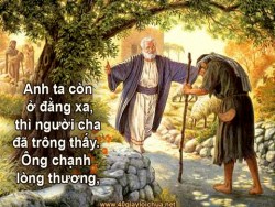 VUI MỪNG VÌ ĐƯỢC CHÚA XÓT THƯƠNG  - Lm. Antôn Nguyễn Văn Độ