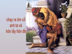 CÂU CHUYỆN NGƯỜI CON HOANG ĐÀNG & HẠT NGỌC CỦA TIN MỪNG- Lm. Giuse Nguyễn Hữu An
