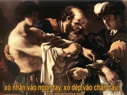 NGƯỜI CHA NHÂN HẬU - ĐTGM. Ngô Quang Kiệt