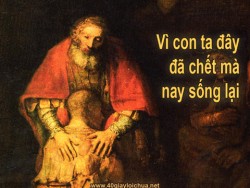 MỌI NGƯỜI ĐỀU ĐƯỢC THƯƠNG YÊU - Chú giải của Noel Quesson