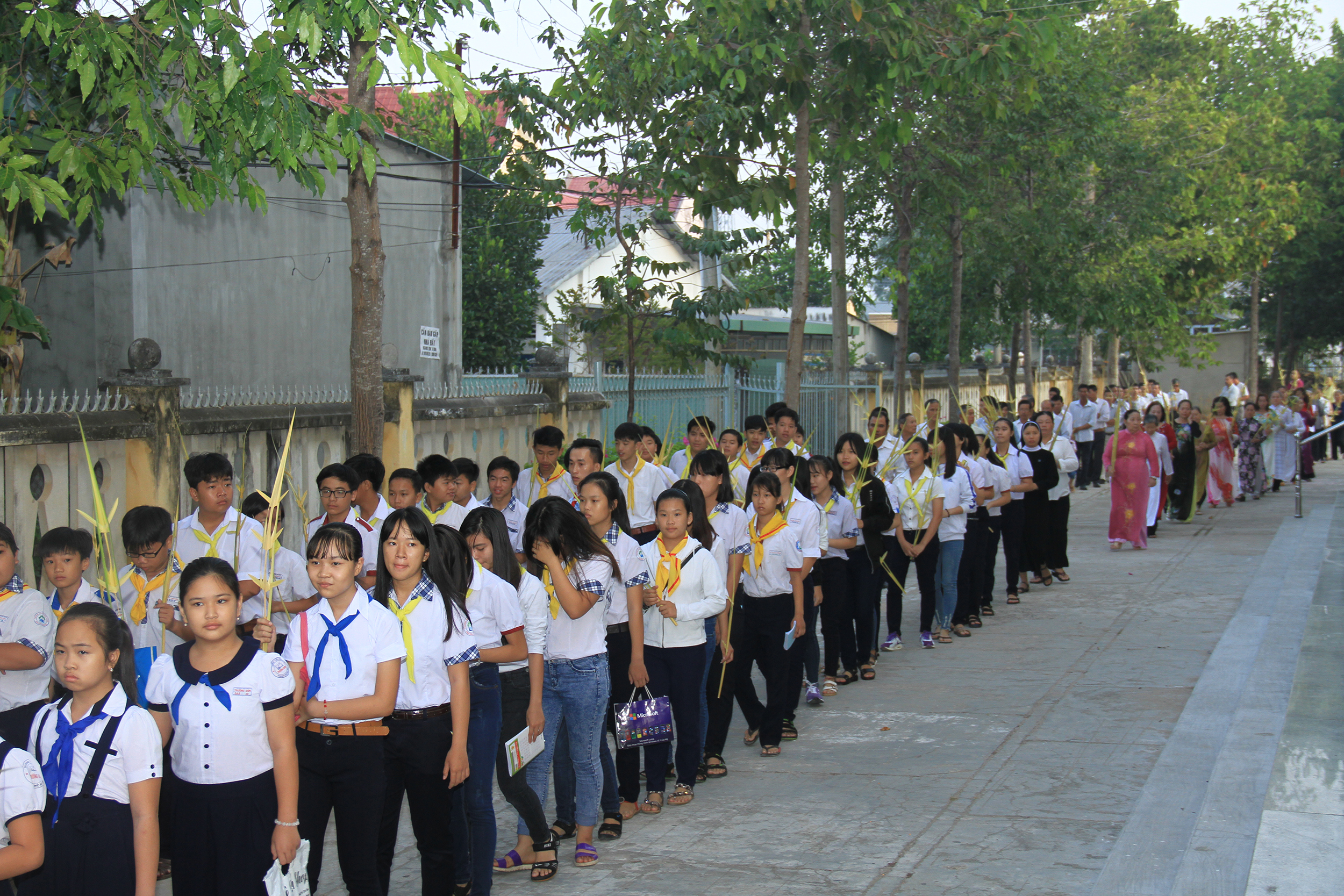 Tin ảnh: Giáo xứ Long Kiên: Cử hành Lễ Lá khai mạc Tuần Thánh