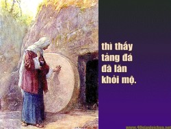 CNPS - AI SẼ LĂN TÁNG ĐÁ? - Lm Giuse Nguyễn Hữu An