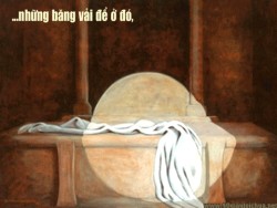 CNPS - NGÔI MỘ TRỐNG  - Lm FX Vũ Phan Long, ofm