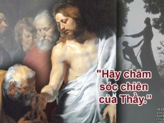 HÃY CHĂN DẮT CHIÊN CỦA THẦY- Lm Giuse Đinh lập Liễm