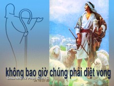 BẢN VĂN CÁC BÀI ĐỌC