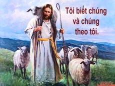 MỤC TỬ NHÂN LÀNH - Lm. Carôlô Hồ Bặc Xái